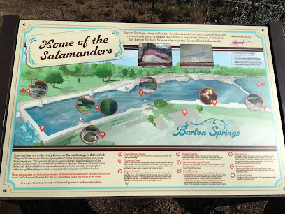Barton Springs Municipal Pool
