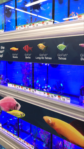 Pet Supply Store «Pet Supplies Plus», reviews and photos, 1155 Washington Pike, Bridgeville, PA 15017, USA