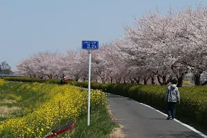 Kawagoe Naguwashi park PiKOA image