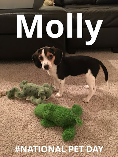 Insurance Agency «Kathleen Alexander - State Farm Insurance Agent», reviews and photos