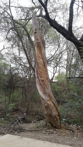 Park «Turner Park», reviews and photos, 600 N Belt Line Rd, Grand Prairie, TX 75050, USA