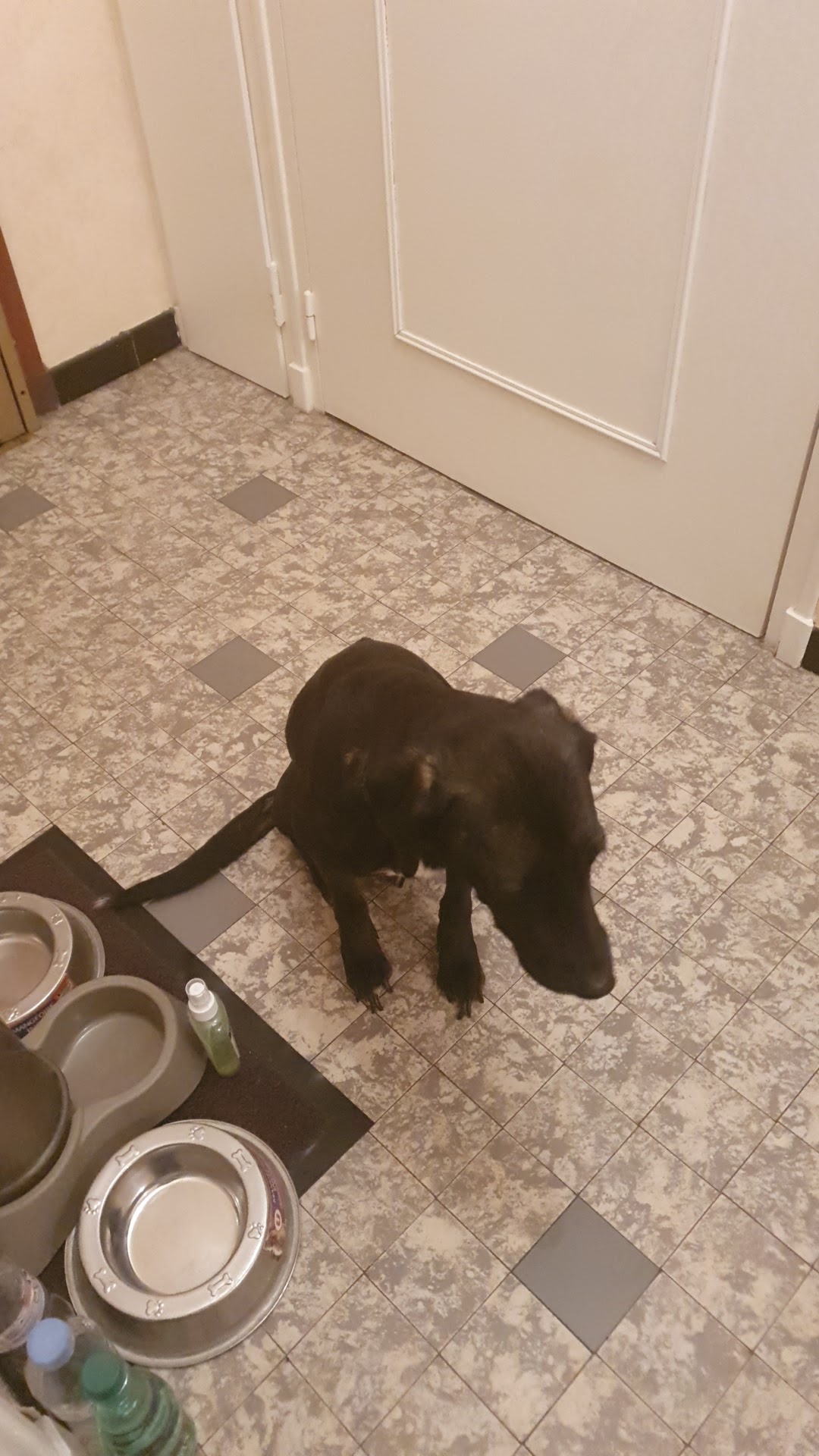 Photo n° 4 de l'avis de The.a fait le 21/01/2020 à 17:27