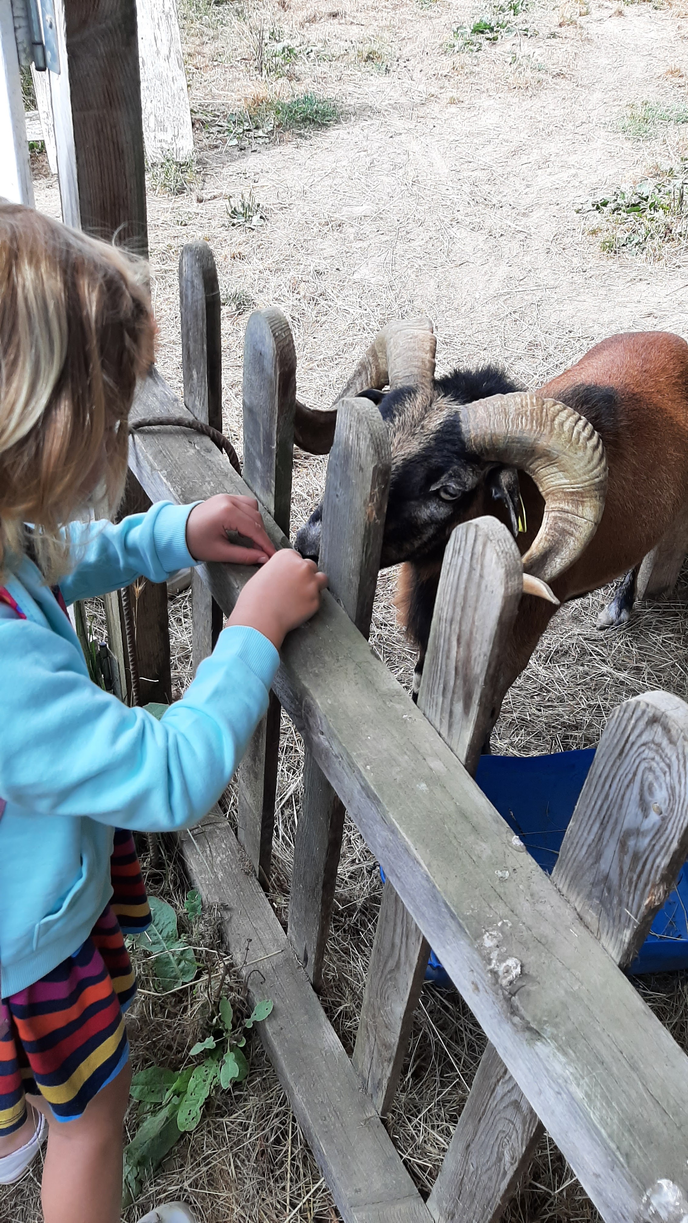 Photo n° 4 de l'avis de Corinne.a fait le 05/08/2023 à 09:26