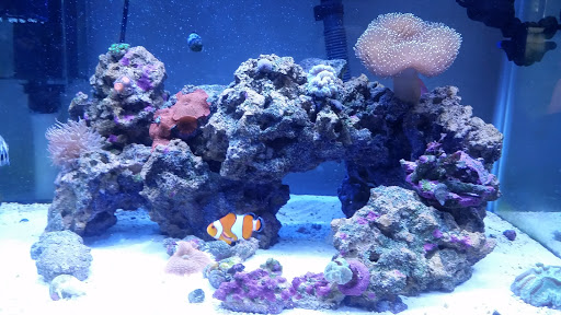 Video Game Store «GameStop», reviews and photos, 12779 Washington Twp Blvd, Waynesboro, PA 17268, USA