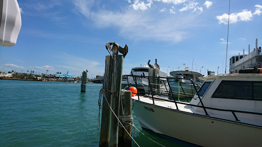 Tourist Attraction «The Pirate Ship Royal Conquest», reviews and photos, 140 Boardwalk Pl E, Madeira Beach, FL 33708, USA