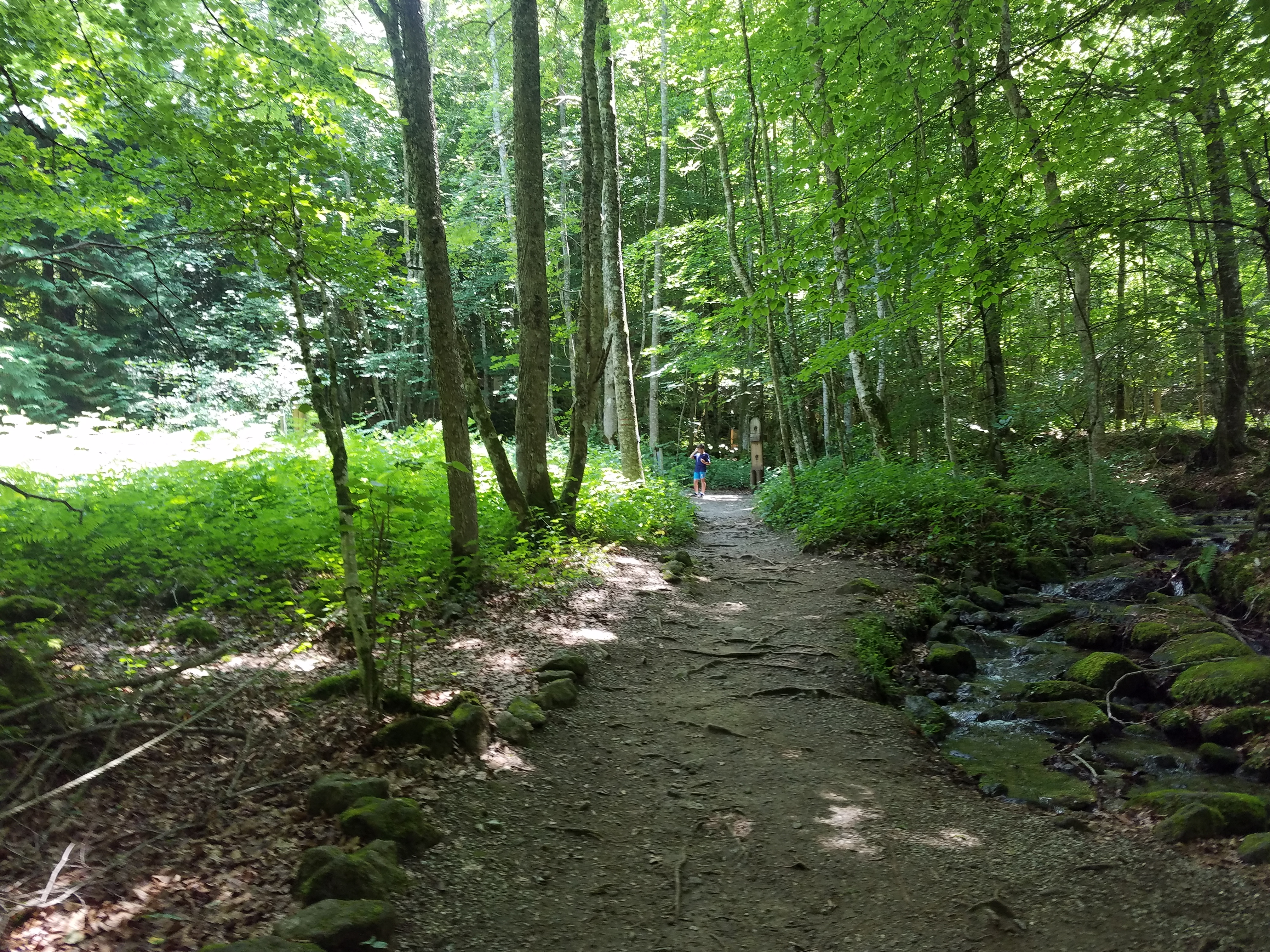 Photo n° 8 de l'avis de Julie.i fait le 03/07/2019 à 14:26