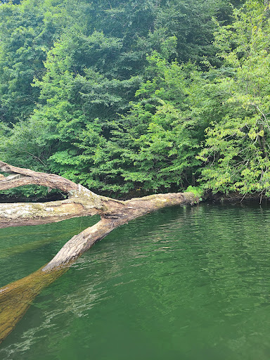 Park «Delaney Creek Park», reviews and photos, 8215 N Delaney Park Rd, Scottsburg, IN 47170, USA