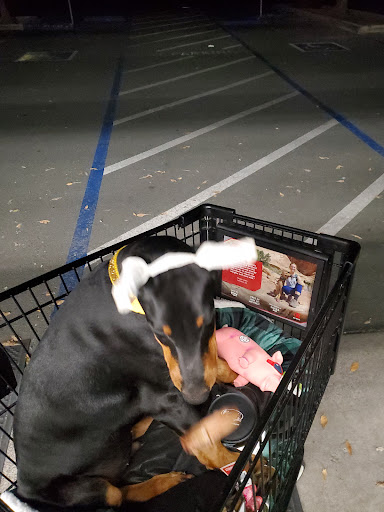 Pet Supply Store «Pet Supplies Plus», reviews and photos, 1411 S Stockton St, Lodi, CA 95240, USA