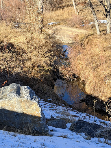 Park «Carpenter Park», reviews and photos, 3498 E 112th Ave, Thornton, CO 80233, USA