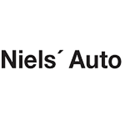 Kommentarer og anmeldelser af Niels' Auto