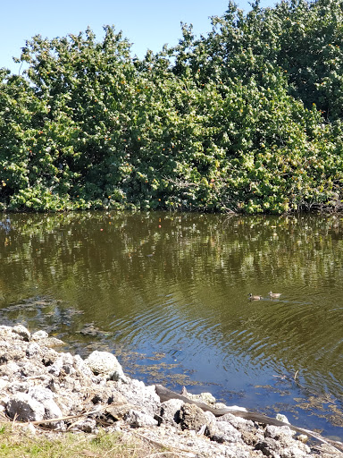 Golf Club «Manatee County Golf Course», reviews and photos, 6415 53rd Ave W, Bradenton, FL 34210, USA