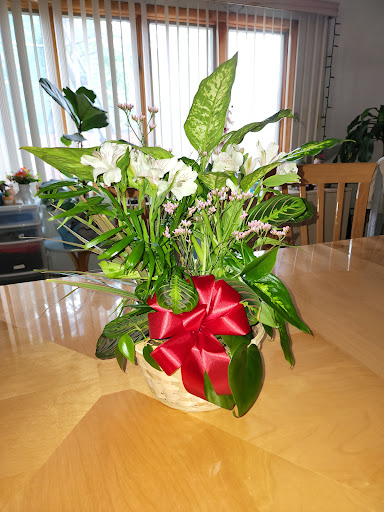 Levittown Florist & Flowers by Phil, 2728 Hempstead Turnpike, Levittown, NY 11756, USA, 