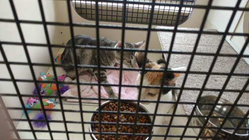 Pet Supply Store «Petco Animal Supplies», reviews and photos, 565 S State St, Westerville, OH 43081, USA