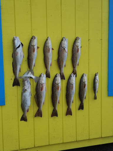 Seafood Market «Fulton Harbor Bait & Seafood», reviews and photos, 250 Deforest Loop, Fulton, TX 78358, USA