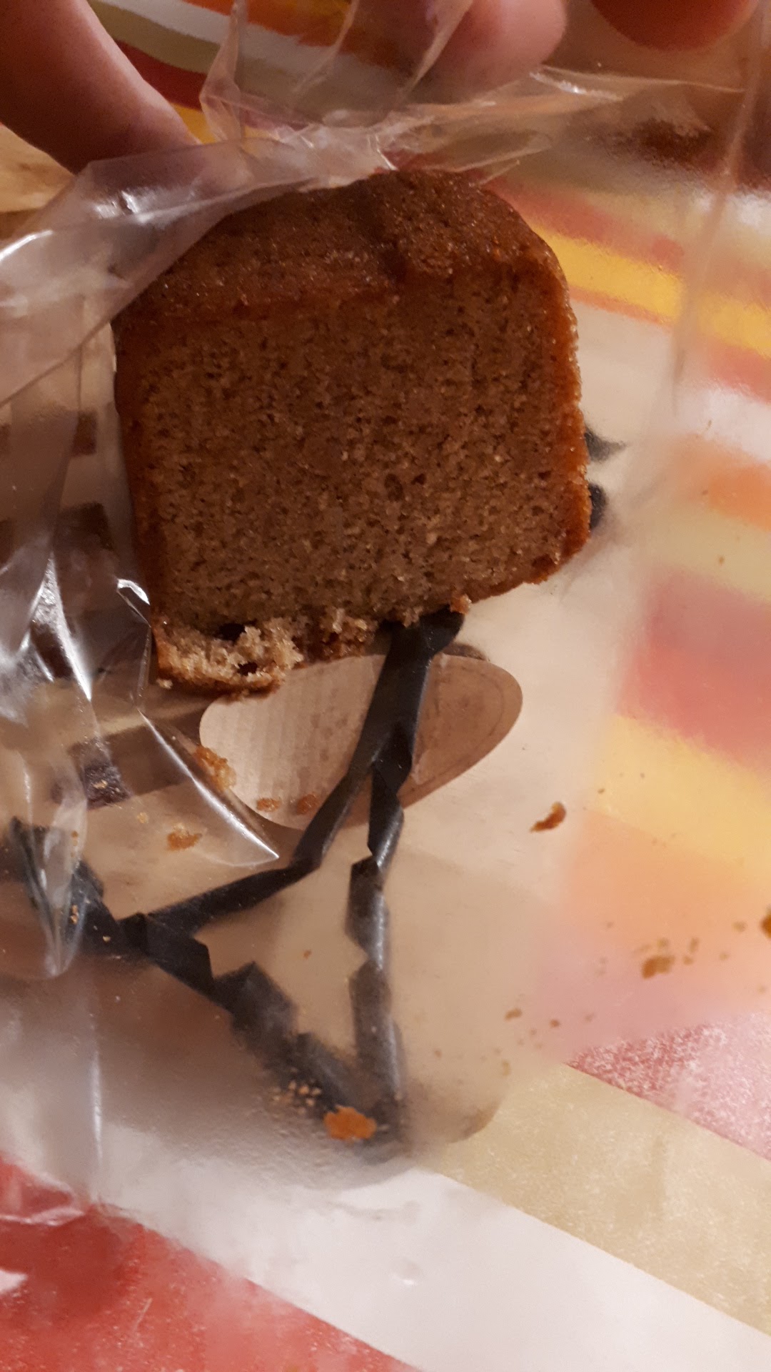 Photo n° 1 de l'avis de Stef. fait le 19/12/2019 à 18:56