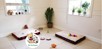 The Pet Ranch - Photo 2 - Car repair in Pembroke Pines, FL, Hialeah