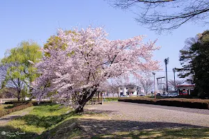 Azumasuiseishokubutsu Park image