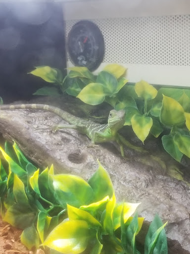 Pet Supply Store «PetSmart», reviews and photos, 4300 E Alameda Ave, Glendale, CO 80246, USA