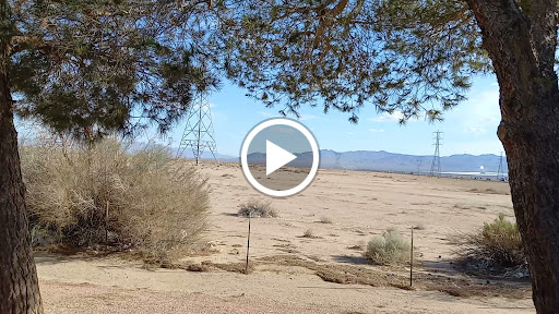 Lottery Retailer «The Lotto Store at Primm», reviews and photos, 31900 S Las Vegas Blvd, Jean, CA 89019, USA