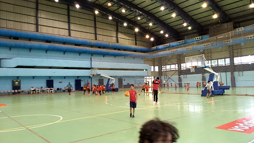 Basketball schools in Cairo