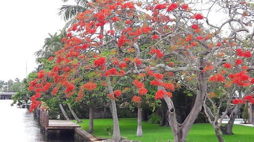 Sightseeing Tour Agency «Jungle Queen Riverboat», reviews and photos, 801 Seabreeze Blvd, Fort Lauderdale, FL 33316, USA