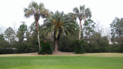 Public Golf Course «Hombre Golf Club», reviews and photos, 120 Coyote Pass, Panama City Beach, FL 32407, USA
