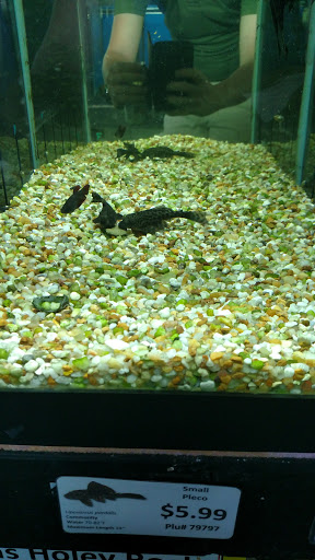 Pet Store «M V Pets», reviews and photos, 7429 S Westnedge Ave, Portage, MI 49002, USA