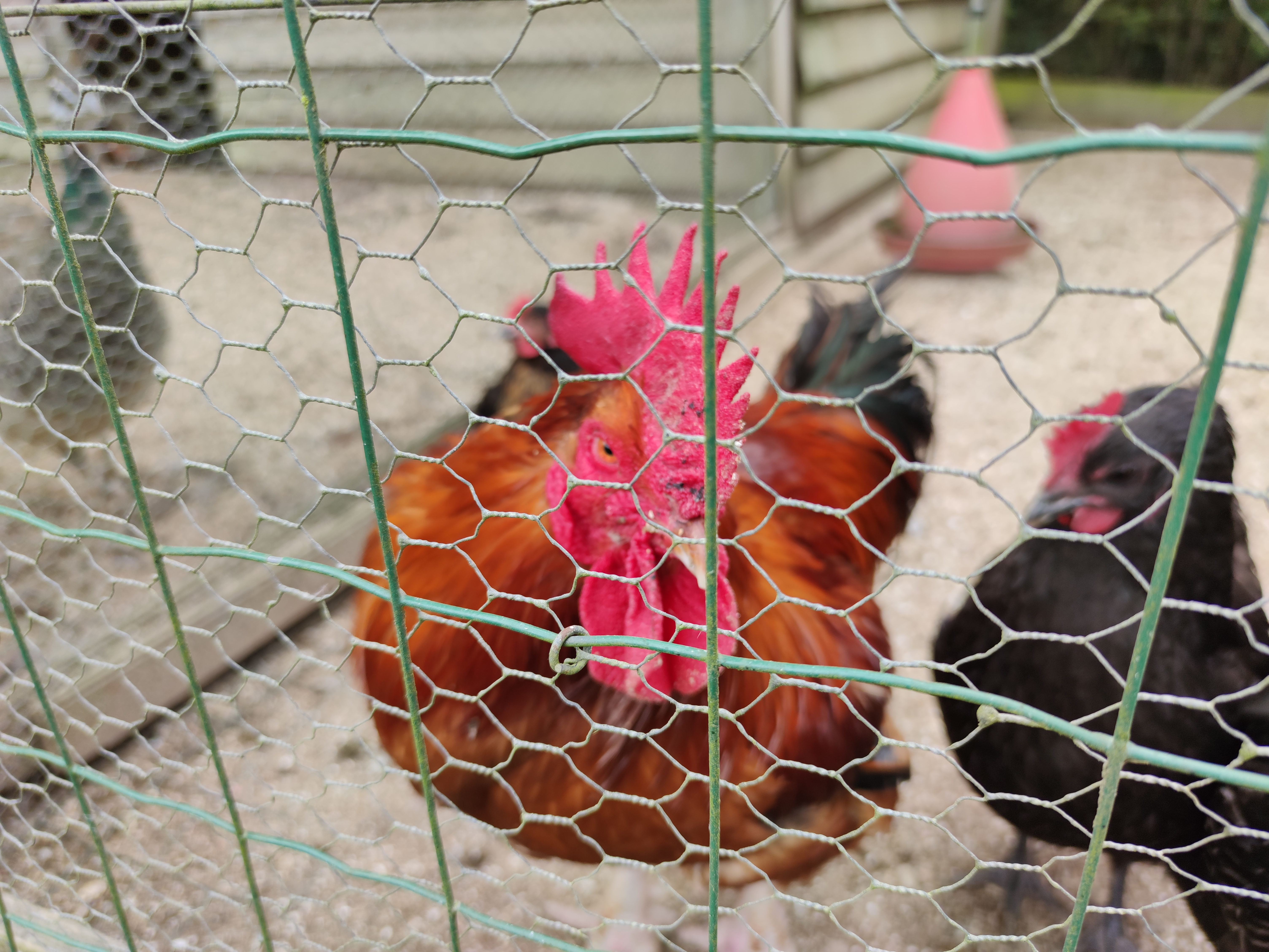 Photo n° 8 de l'avis de Fred.a fait le 14/07/2020 à 16:13