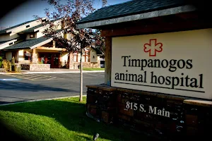 VCA Timpanogos Animal Hospital image