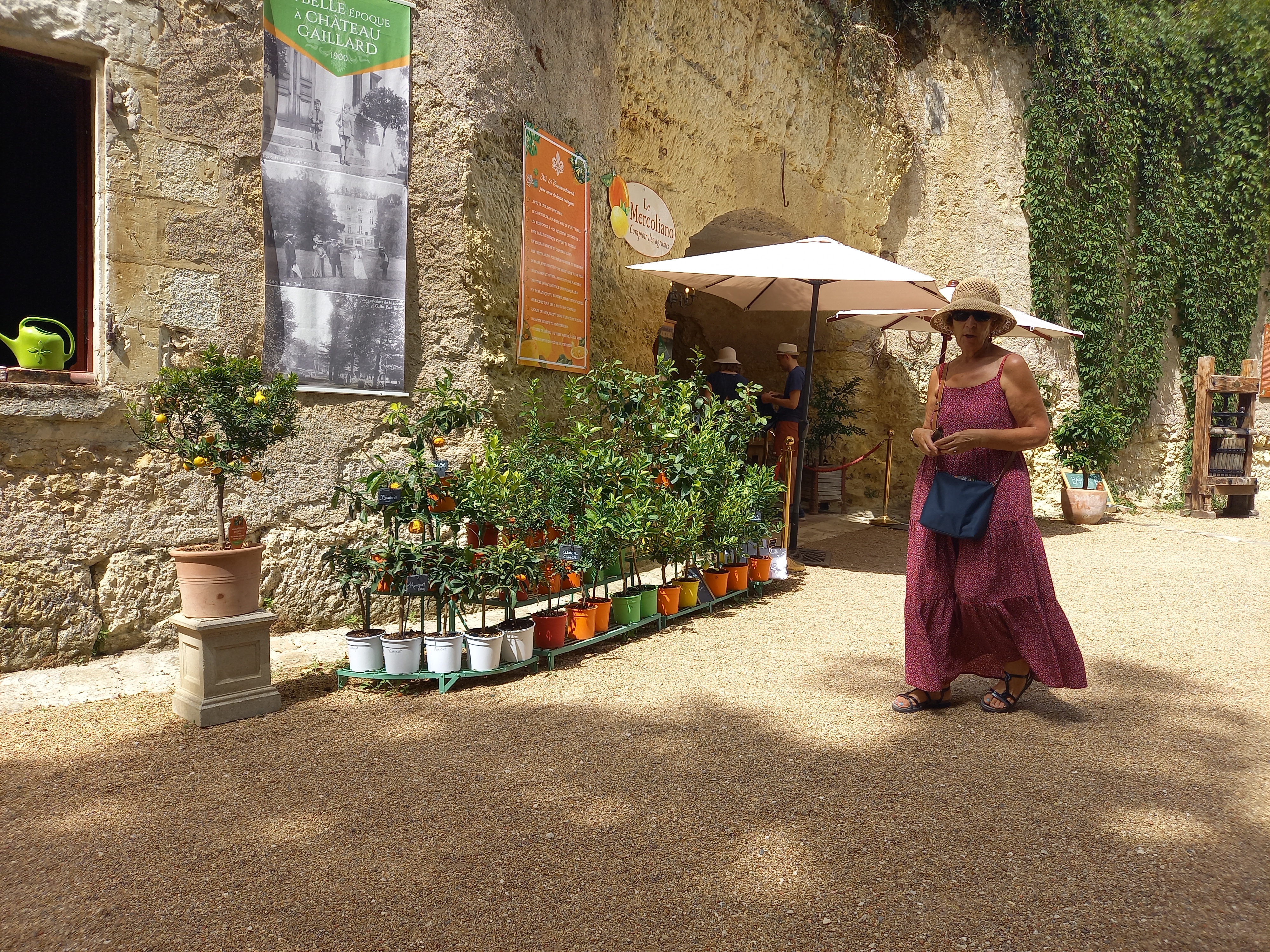 Photo n° 5 de l'avis de Dominique.h fait le 30/06/2022 à 14:56