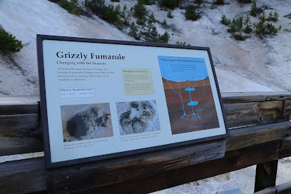 Grizzly Fumarole