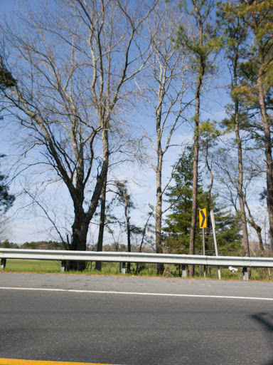 Public Golf Course «Hamilton Trails Golf Club», reviews and photos, 620 Harbor Ave, Mays Landing, NJ 08330, USA