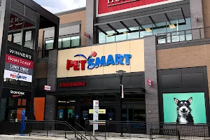 PetSmart image