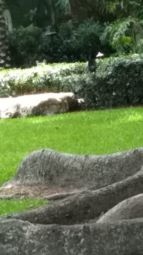 History Museum «Henry Morrison Flagler Museum», reviews and photos, 1 Whitehall Way, Palm Beach, FL 33480, USA