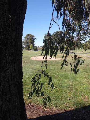 Golf Course «Lone Tree Golf & Event Center», reviews and photos, 4800 Golf Course Rd, Antioch, CA 94531, USA