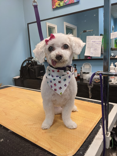 Pet Store «Canine Carousel», reviews and photos, 43135 Broadlands Center Plaza #129, Ashburn, VA 20148, USA