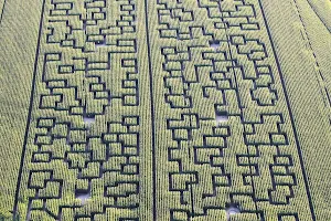 Pop Corn Labyrinthe LYON - Labyrinthe Géant de Maïs image