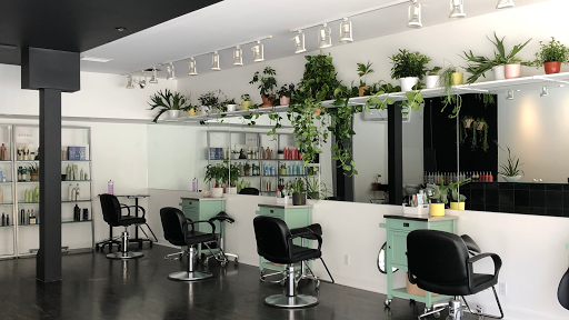 Kaaz Salon de coiffure Aveda