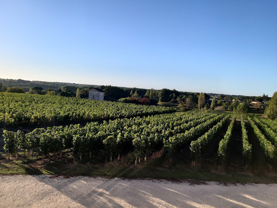 Photos des visiteurs Bed & breakfast Les Raisins du Bonheur 33570 Puisseguin