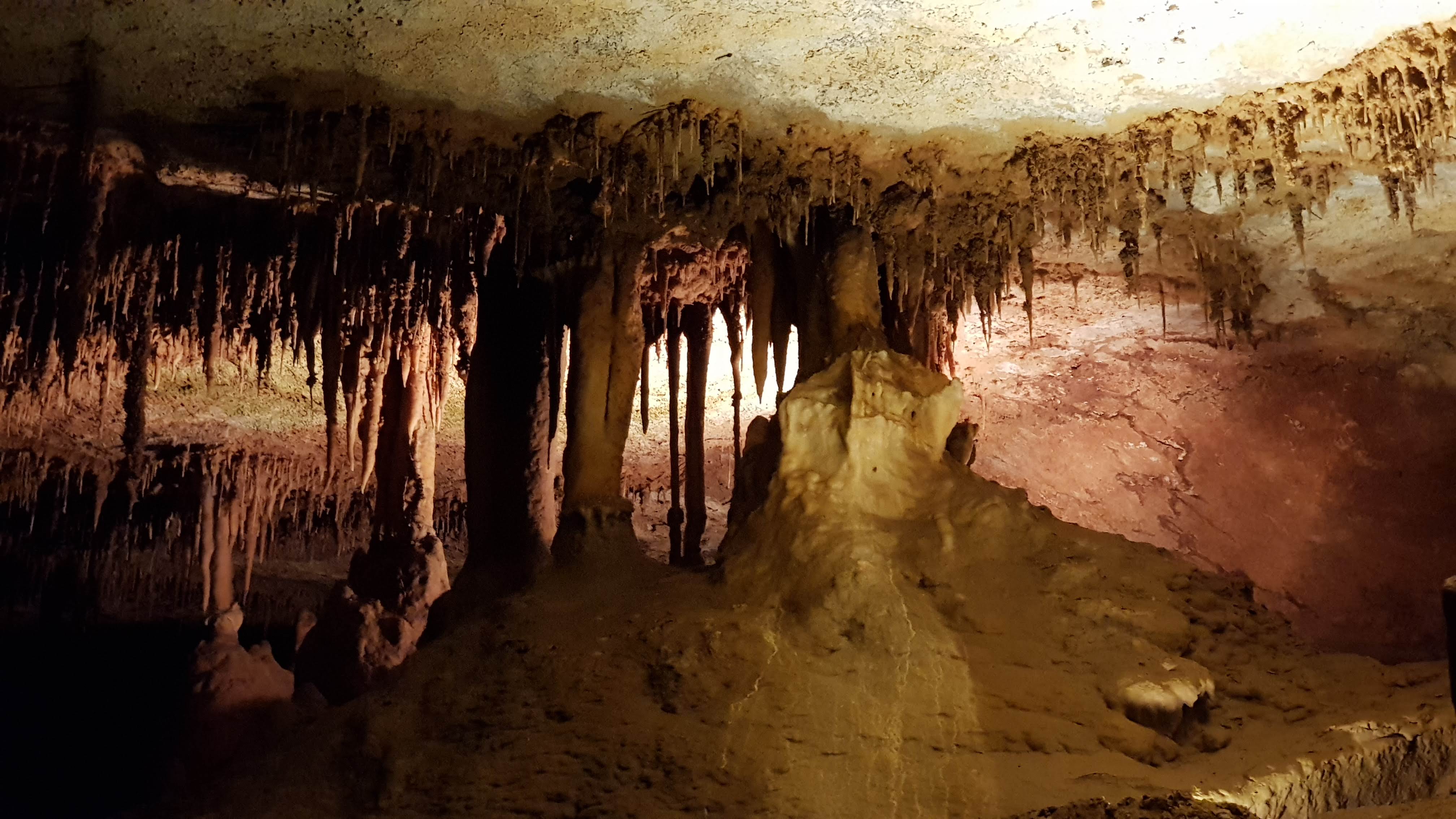 Photo n° 7 de l'avis de raymond.h fait le 19/06/2019 à 09:43