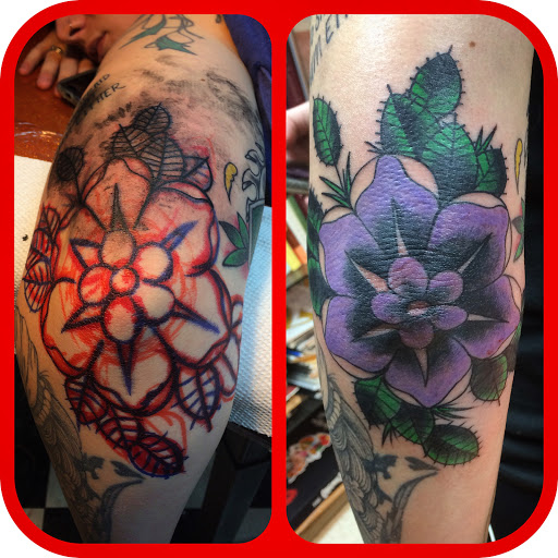 Explore dolphin tattoo ideas for females, creative tattoo ideas in Black River Falls, available at Black River Tattoo