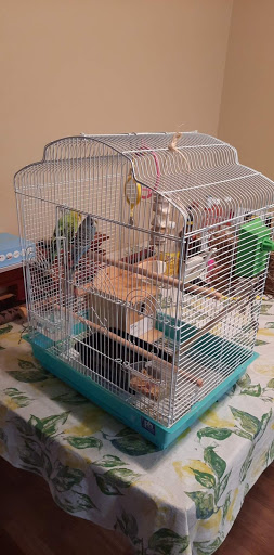 Pet Supply Store «Petco Animal Supplies», reviews and photos, 1203 SE Everett Mall Way f, Everett, WA 98208, USA