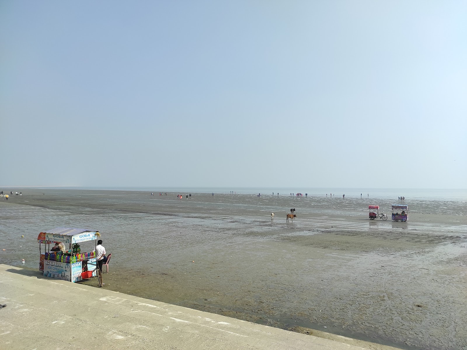 Chandipur Beach photo #8