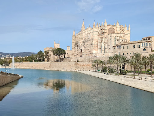 Planes un martes en Palma de Mallorca