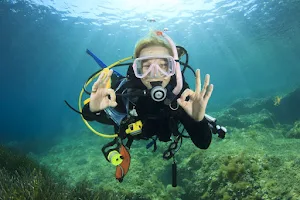 Дайвинг Геленджик Дайвинг Центр Reef Dive Club image