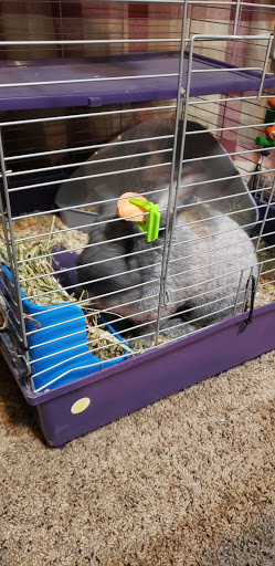 Pet Supply Store «Petco Animal Supplies», reviews and photos, 20825 I-30, Benton, AR 72015, USA