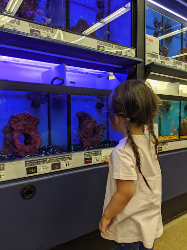 Pet Supply Store «Petco Animal Supplies», reviews and photos, 5190 Borgen Blvd #201, Gig Harbor, WA 98332, USA