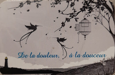 De la douleur à la douceur - hypnose à Saint-Georges-sur-Baulche
