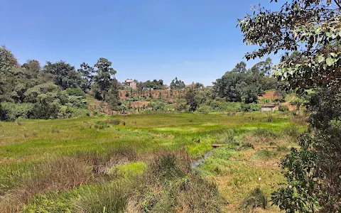 Ondiri Swamp image