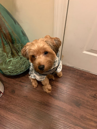 Pet Supply Store «Petco Animal Supplies», reviews and photos, 103 Commerce Way a, Woburn, MA 01801, USA